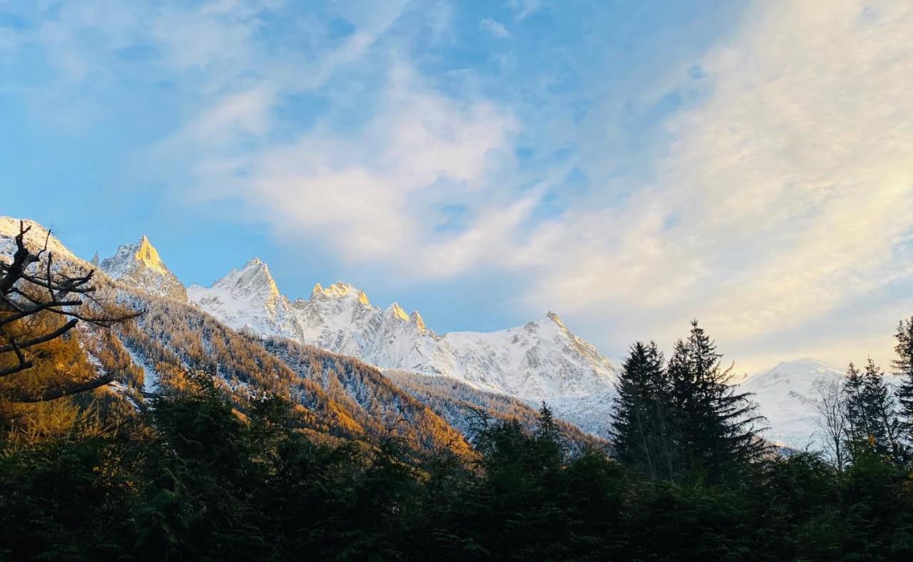 Chalet Baraka Vue Montblanc 霞慕尼 外观 照片